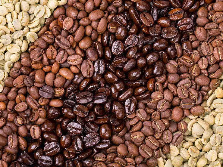 4 Types of Coffee Roasts (The Ultimate Guide for 2024)